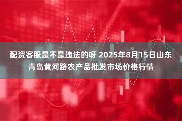 配资客服是不是违法的呀 2025年8月15日山东青岛黄河路农产品批发市场价格行情